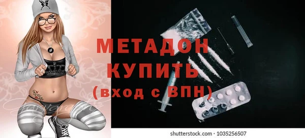 индика Заречный