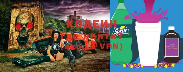шишки Абаза