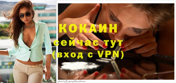 шишки Абаза