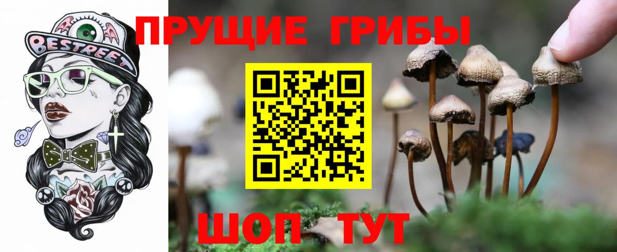 Псилоцибиновые грибы MAGIC MUSHROOMS  Вход с VPN  Отрадное 