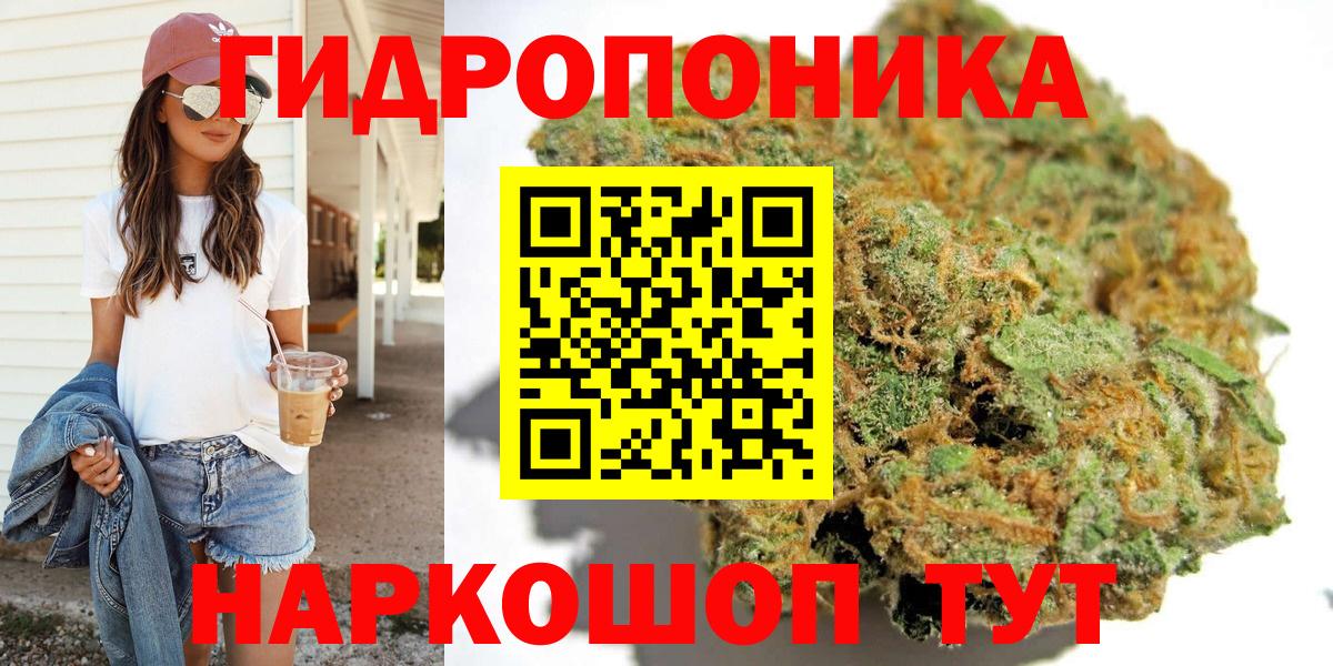Бошки марихуана VHQ  Шишки марихуана ГИДРОПОН  Вход с VPN  Канабис семена  Шишки марихуана конопля  Отрадное 